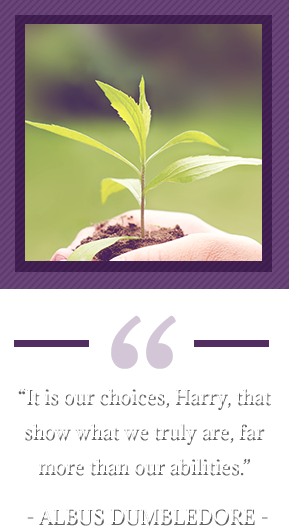 “It is our choices, Harry, that show what we truly are, far more than our abilities.” – Albus Dumbledore. Hand holding sprouted plant.
